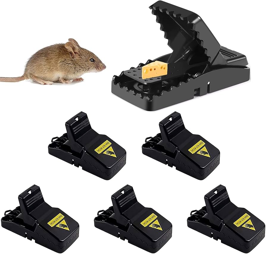 High Sensitive Powerful Mouse Trap 6 Pack-SMART CHOICE